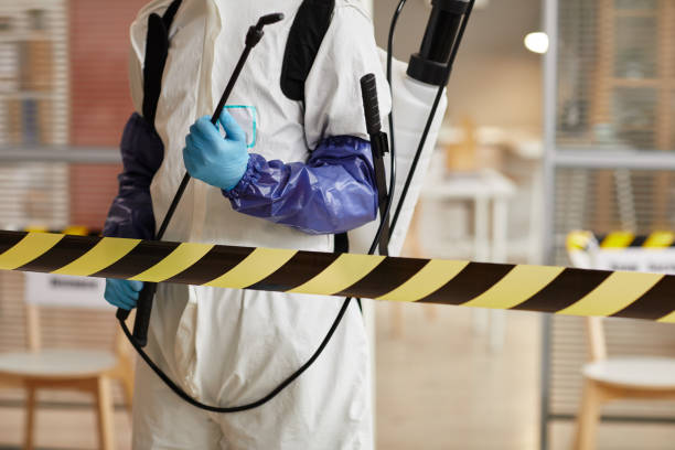 Professional Sewage Cleanup technician working in Concord, MI